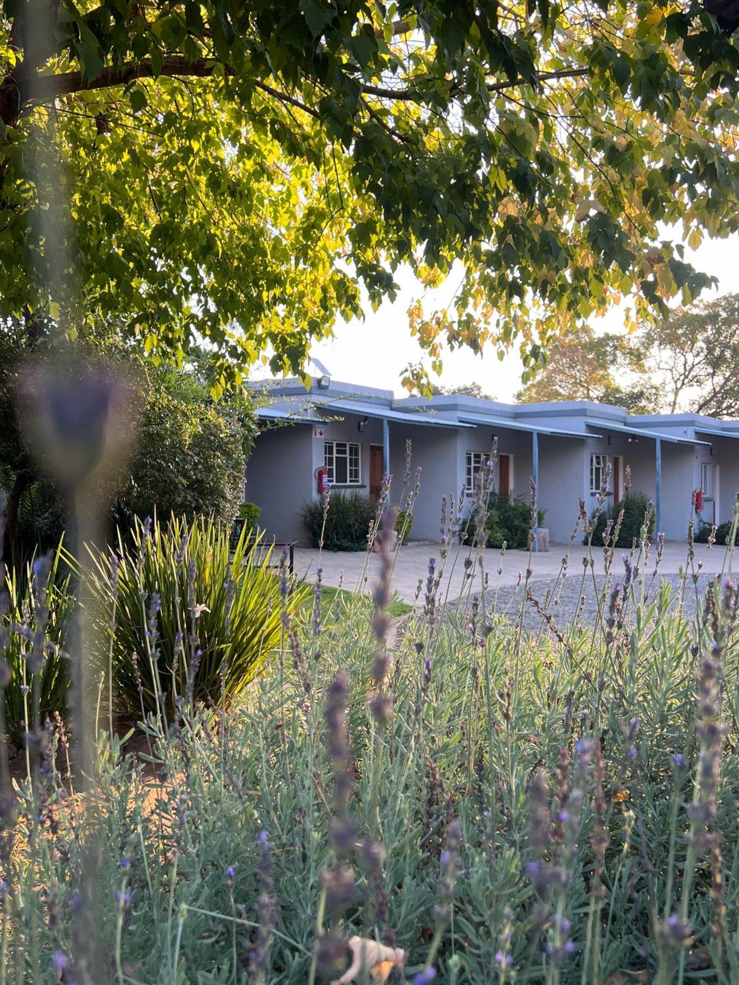 ניוקאסל Patterson B&B מראה חיצוני תמונה